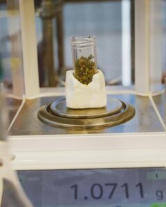 O instituto do tráfico privilegiado pode trazer benefícios diversos ao infrator da lei.