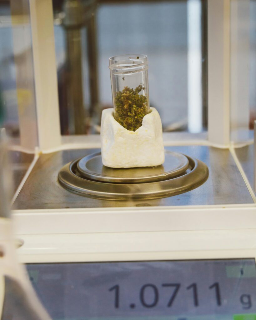 O instituto do tráfico privilegiado pode trazer benefícios diversos ao infrator da lei.